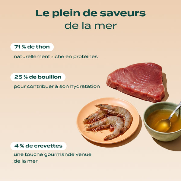 thon-amp-crevette