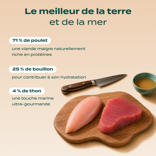 poulet-amp-thon