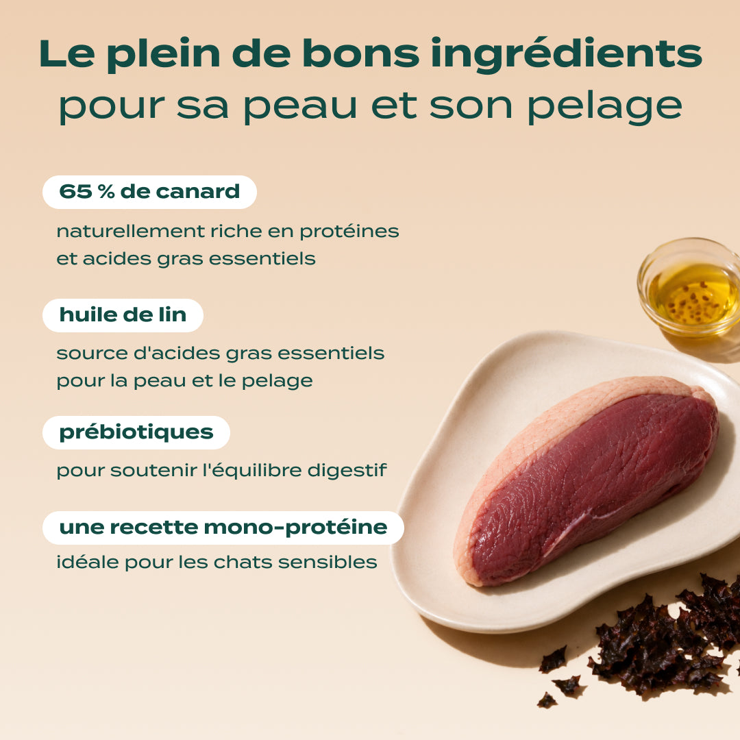CANARD, VALÉRIANE