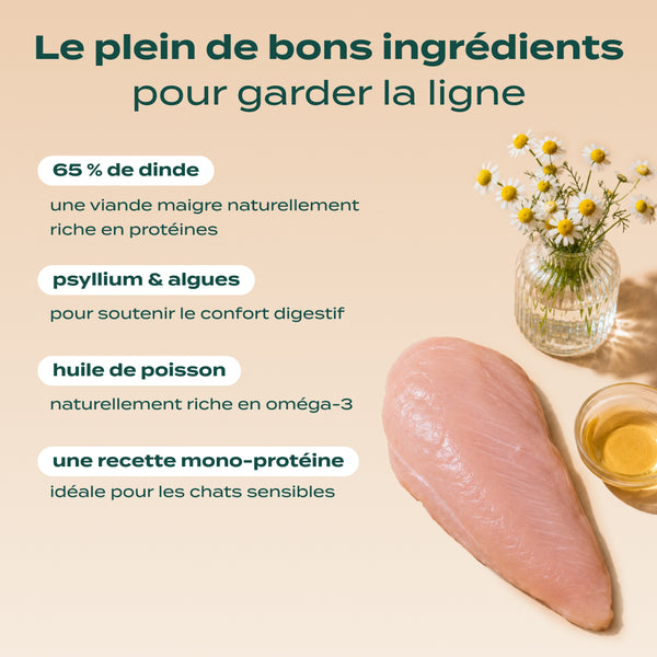 dinde-camomille