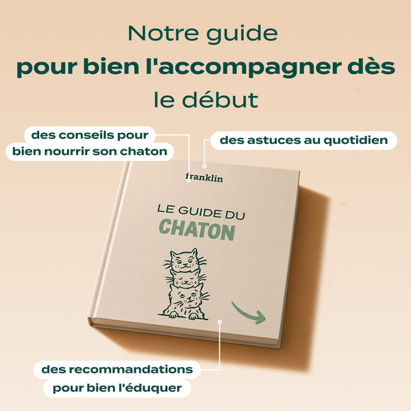 pack-decouverte-chaton
