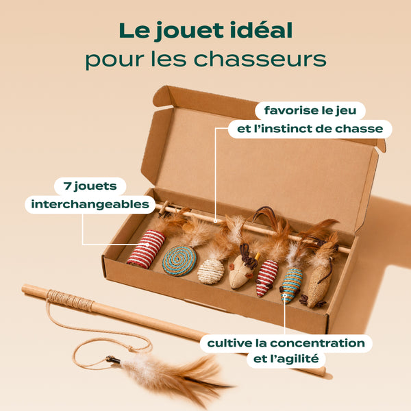 pack-decouverte-chat