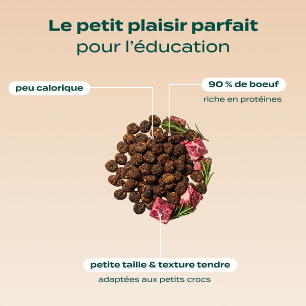 pack-decouverte-chiot