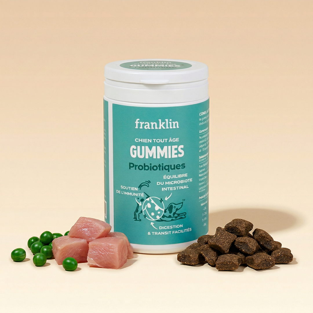 GUMMIES PROBIOTIQUES