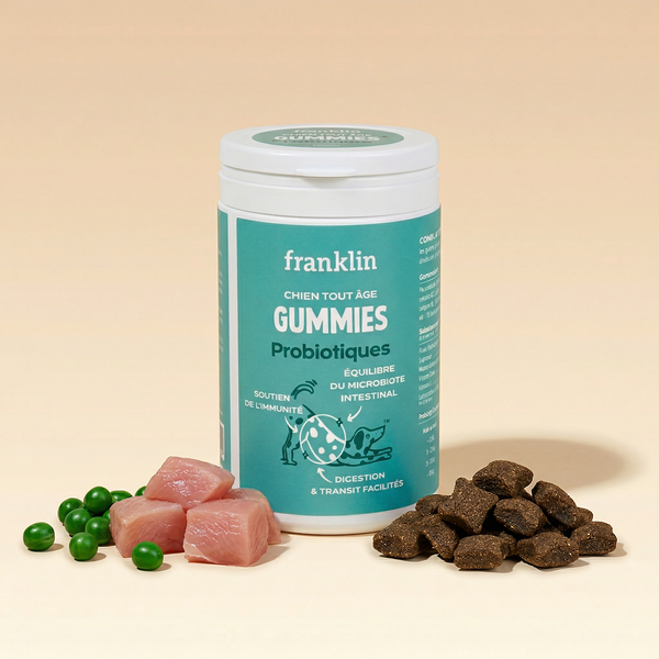 gummies-probiotiques