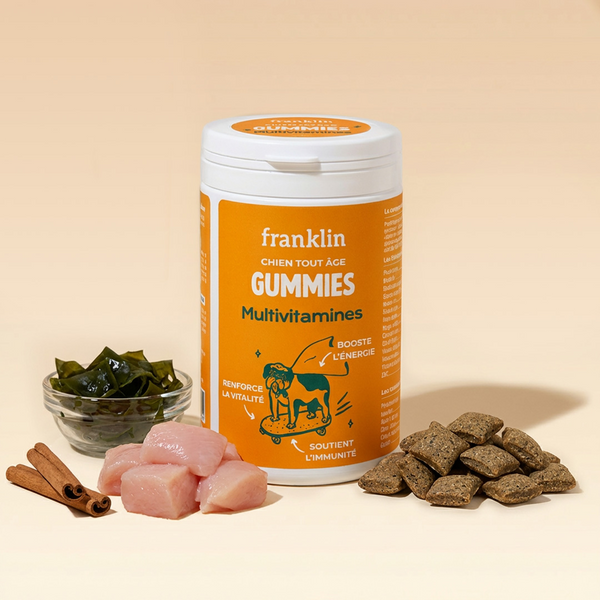 gummies-multivitamines