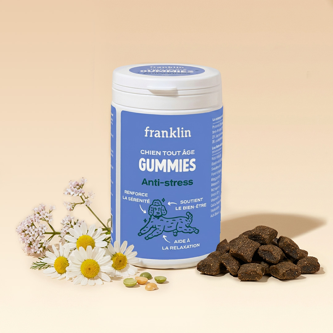 GUMMIES ANTI-STRESS