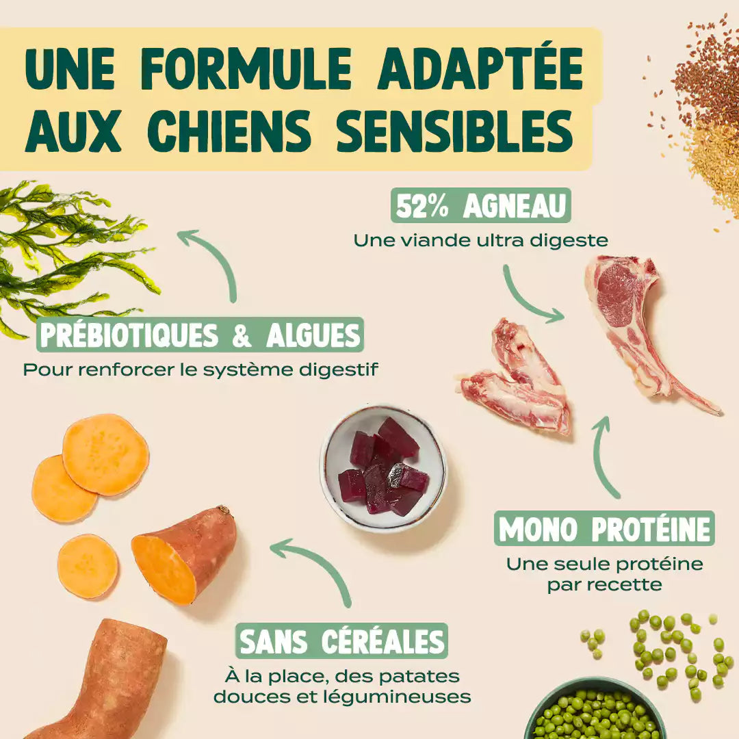 AGNEAU, PATATE DOUCE, MENTHE