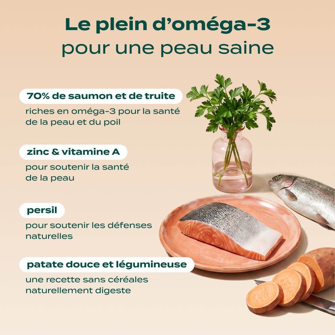 SAUMON, TRUITE, PERSIL