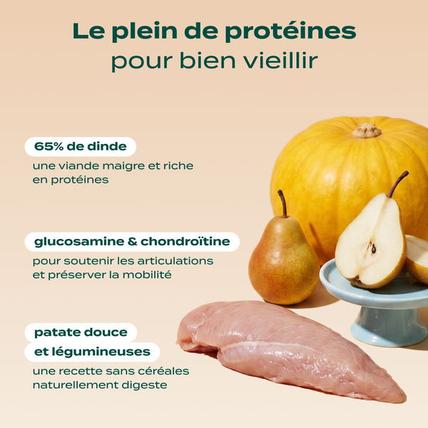 dinde-courge-poire