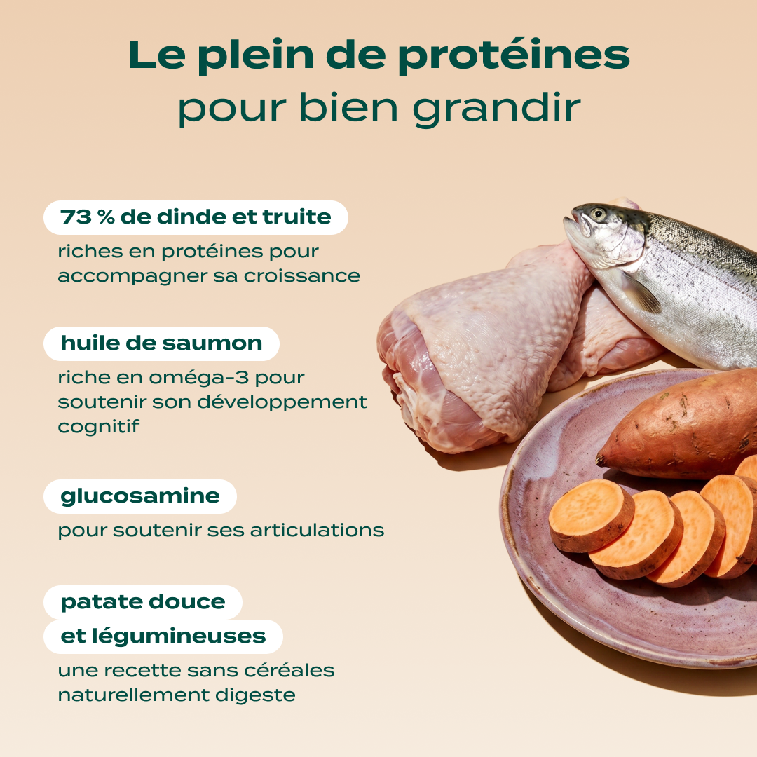 DINDE, TRUITE, PATATE DOUCE