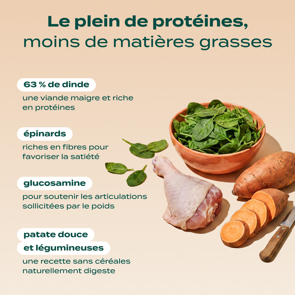 dinde-patate-douce-epinards