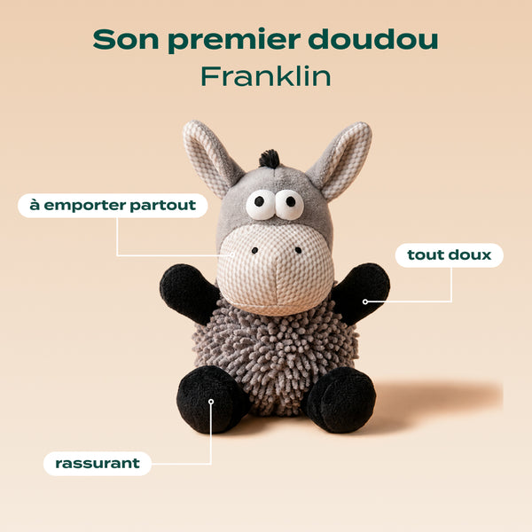 pack-decouverte-chiot