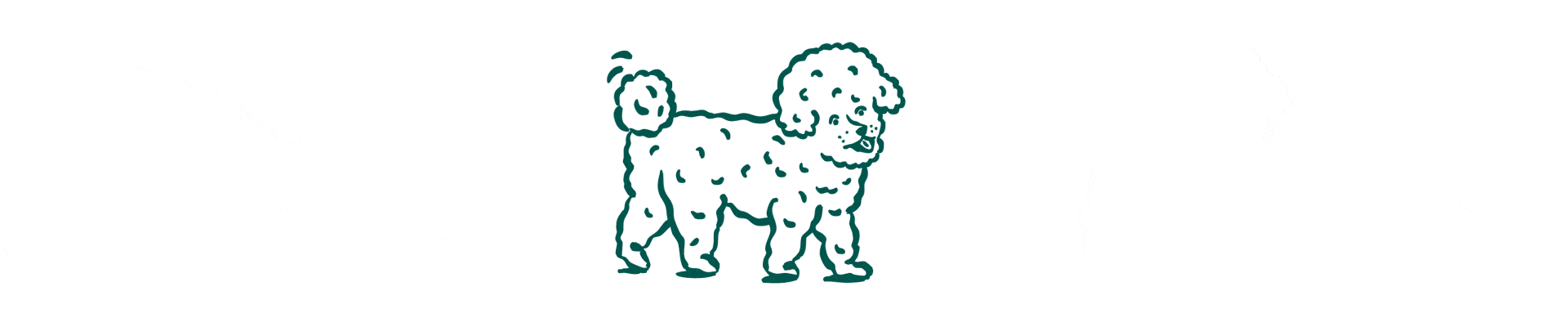 Signes de problèmes dentaires chez le chien : tartre, mauvaise haleine, plaque dentaire, dents abimées, maladies parodontales.