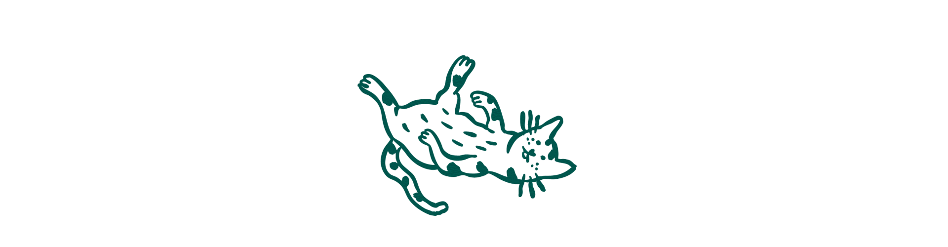 Symptômes de troubles digestifs chez le chat : diarrhée, vomissements, flatulences et perte d’appétit.