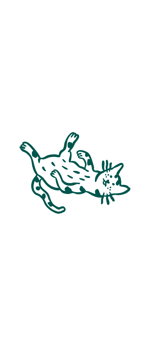 Symptômes de troubles digestifs chez le chat : diarrhée, vomissements, flatulences et perte d’appétit.