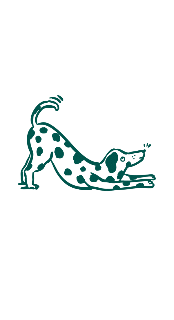 Symptômes digestion sensible chez le chien : selles molles/diarrhée, vomissements, flatulences, perte d’appétit.