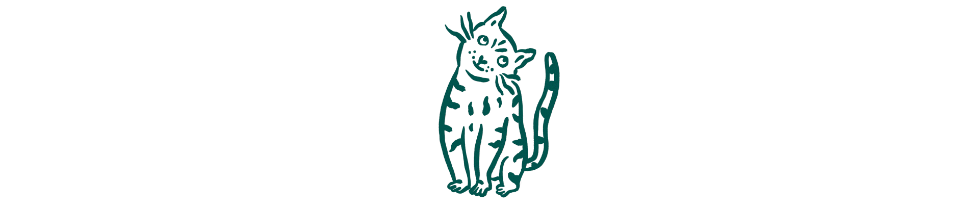 Problèmes de peau chez le chat : pelage terne, démangeaisons, perte de poils excessive, peau irritée avec rougeurs et croûtes.