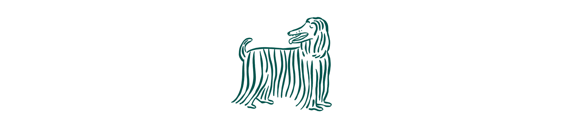 Symptômes peau sensible chien : poil terne, démangeaisons, perte de poils, peau irritée avec rougeurs et pellicules