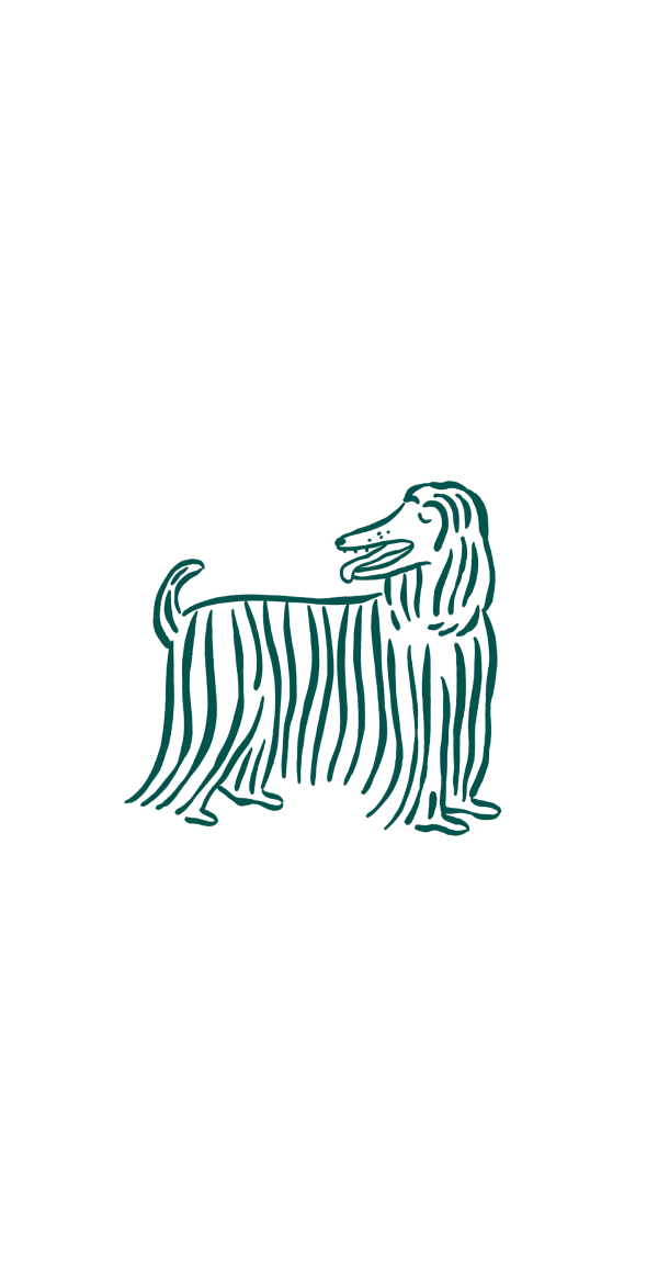 Symptômes peau sensible chien : poil terne, démangeaisons, perte de poils, peau irritée avec rougeurs et pellicules