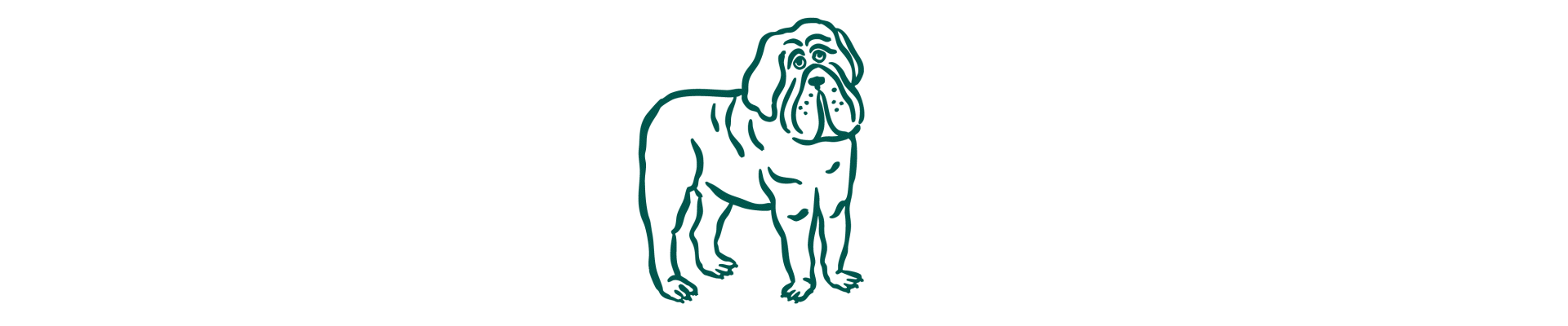 Principaux effets du vieillissement chez le chien : arthrose affectant les articulations et le cartilage, problèmes dentaires avec dents abîmées ou déchaussées, prise de poids due à une baisse d’activité et transit ralenti lié au métabolisme.