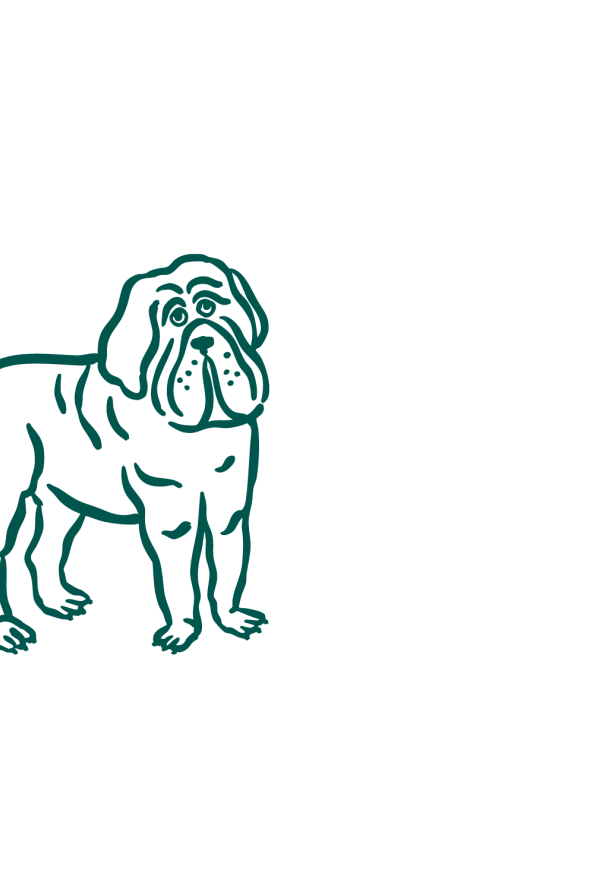 Principaux effets du vieillissement chez le chien : arthrose affectant les articulations et le cartilage, problèmes dentaires avec dents abîmées ou déchaussées, prise de poids due à une baisse d’activité et transit ralenti lié au métabolisme.