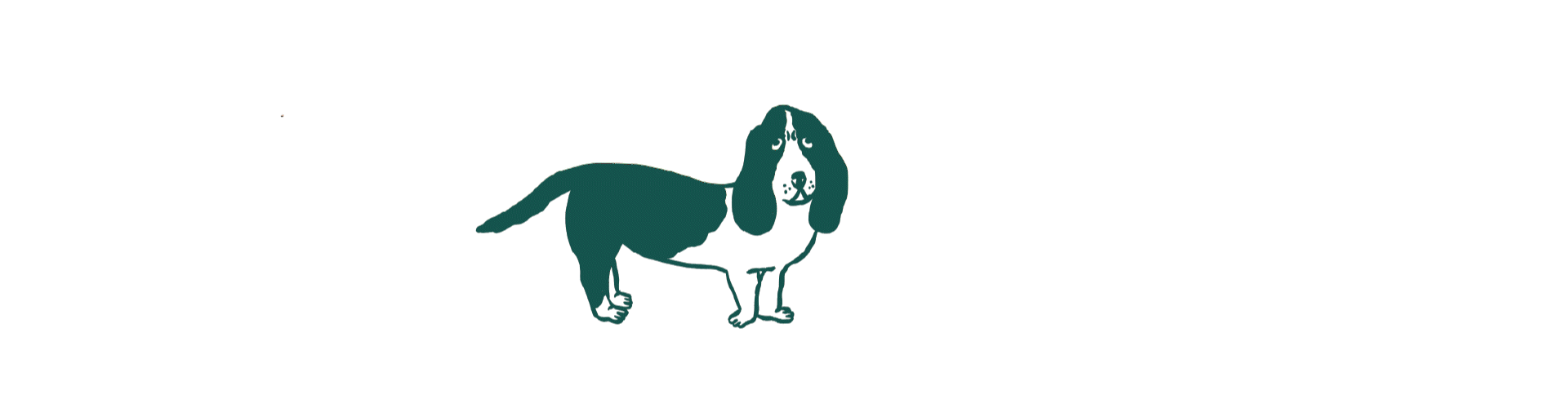 Conséquences de la stérilisation chez le chien : prise de poids, perte de muscle, appétit accru et besoins énergétiques réduits.