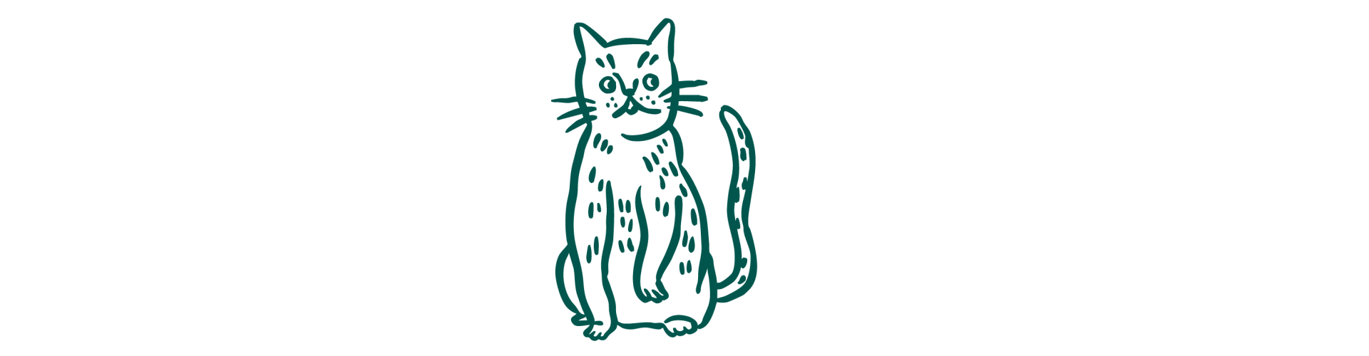 Risques du surpoids chez le chat : maladies articulaires, problèmes cardiaques, diabète et baisse d’espérance de vie.
