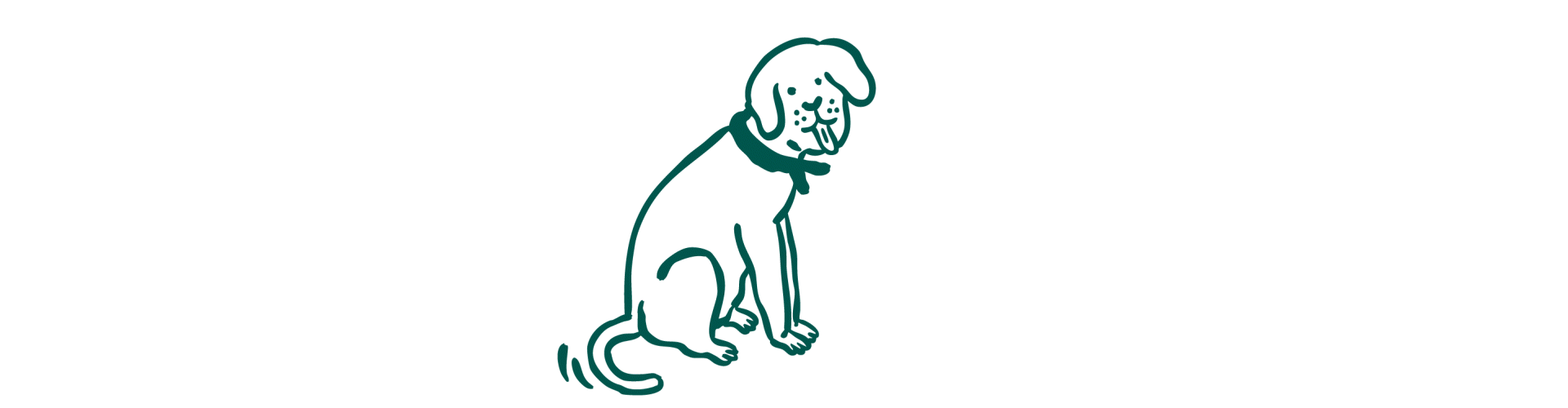 Risques du surpoids chez le chien : maladies articulaires, problèmes cardiaques, diabète et baisse d’espérance de vie.