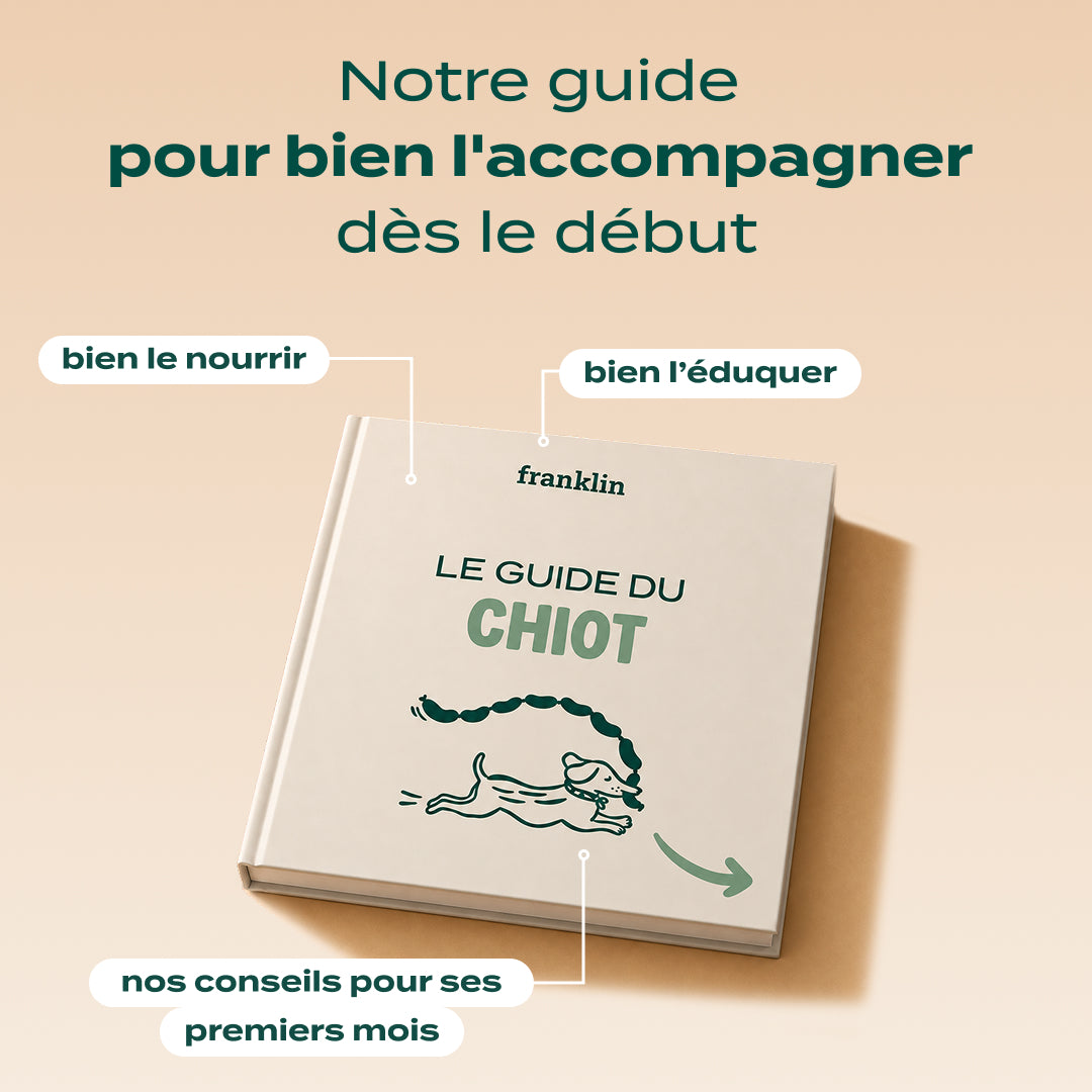 PACK DÉCOUVERTE CHIOT