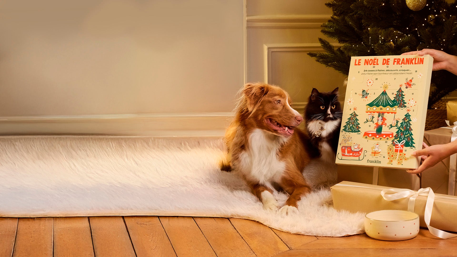Franklin Alimentation premium pour chien et chat. Choisissez la meilleure nourriture pour votre animal : Croquettes sans céréales riches en protéines et faibles en glucides. Découvrez notre large gamme de pâtées et de friandises riches en viande !