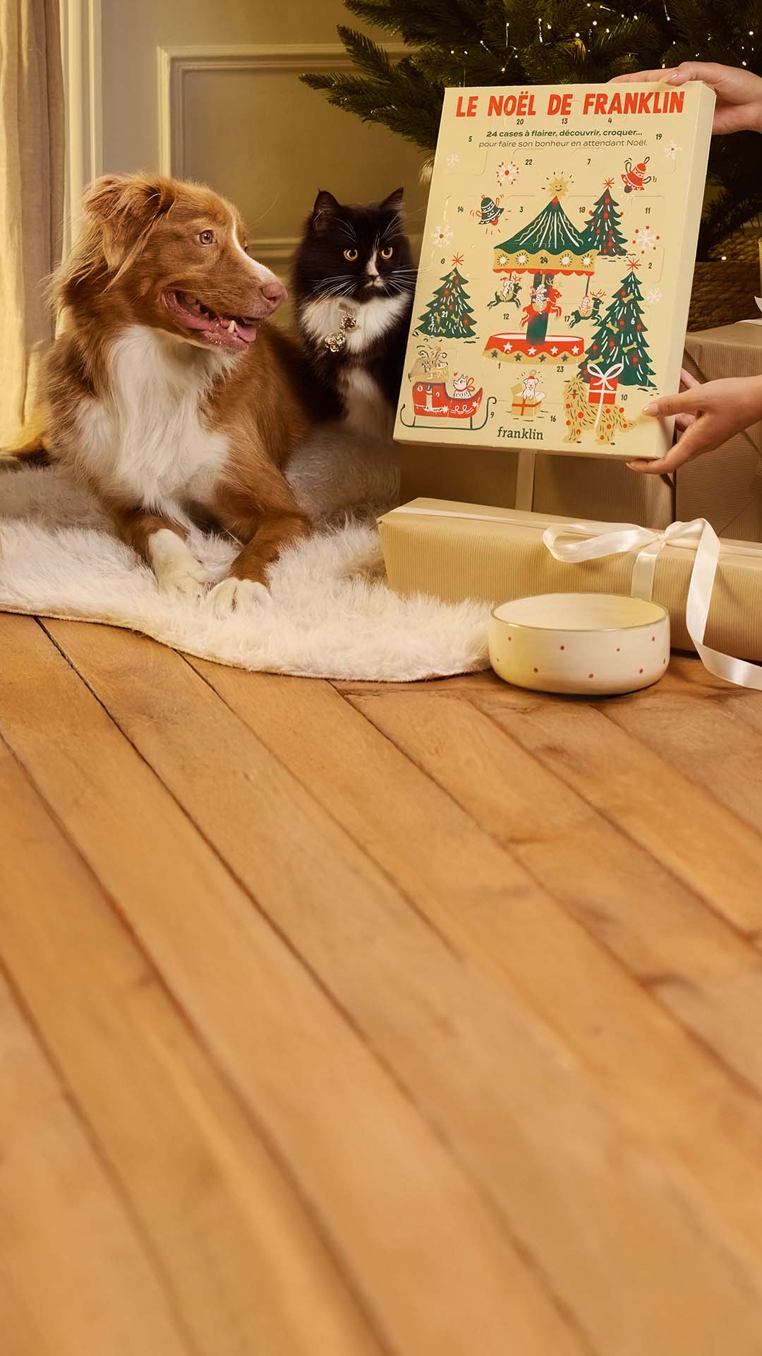 Franklin Alimentation premium pour chien et chat. Choisissez la meilleure nourriture pour votre animal : Croquettes sans céréales riches en protéines et faibles en glucides. Découvrez notre large gamme de pâtées et de friandises riches en viande !