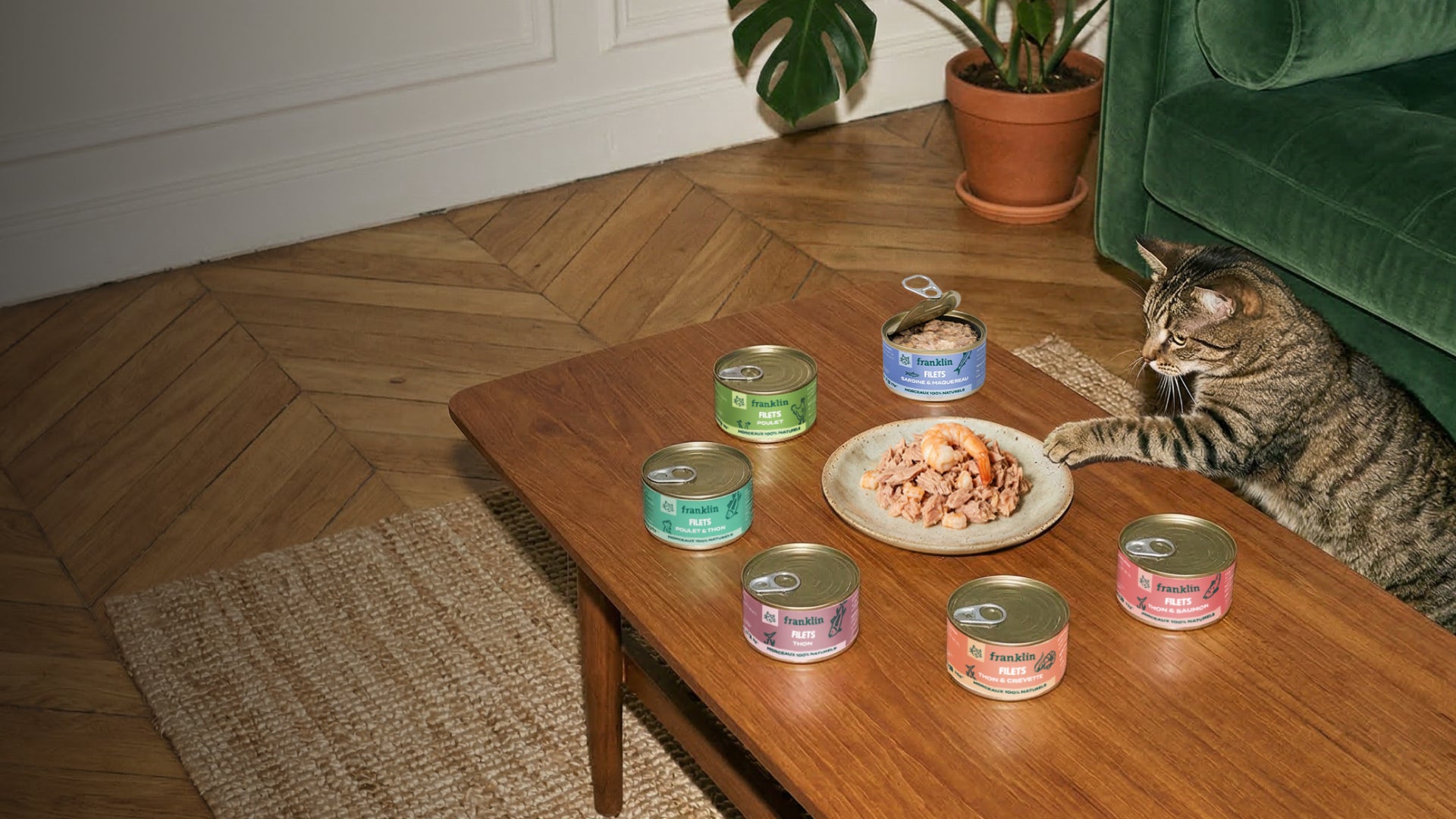 Franklin Alimentation premium pour chien et chat. Choisissez la meilleure nourriture pour votre animal : Croquettes sans céréales riches en protéines et faibles en glucides. Découvrez notre large gamme de pâtées et de friandises riches en viande !