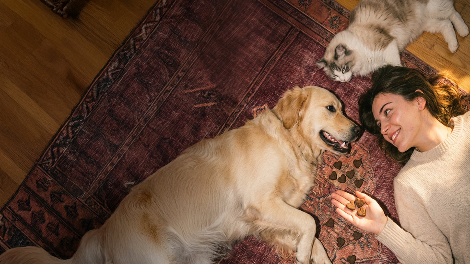Franklin Alimentation premium pour chien et chat. Choisissez la meilleure nourriture pour votre animal : Croquettes sans céréales riches en protéines et faibles en glucides. Découvrez notre large gamme de pâtées et de friandises riches en viande !