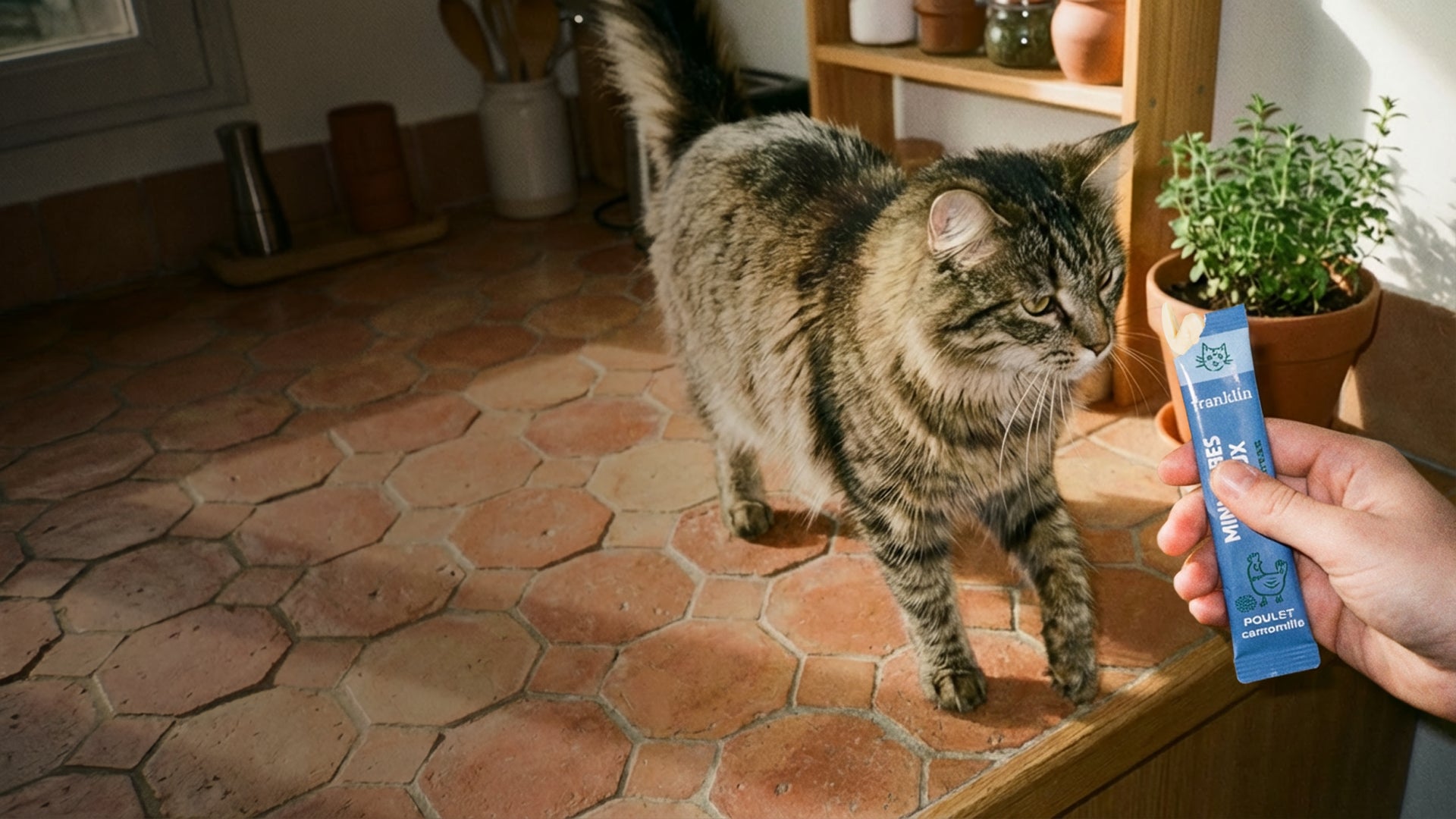Franklin Alimentation premium pour chien et chat. Choisissez la meilleure nourriture pour votre animal : Croquettes sans céréales riches en protéines et faibles en glucides. Découvrez notre large gamme de pâtées et de friandises riches en viande !
