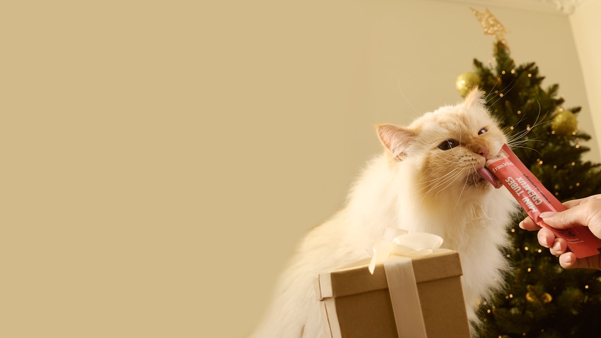 Franklin Alimentation premium pour chien et chat. Choisissez la meilleure nourriture pour votre animal : Croquettes sans céréales riches en protéines et faibles en glucides. Découvrez notre large gamme de pâtées et de friandises riches en viande !