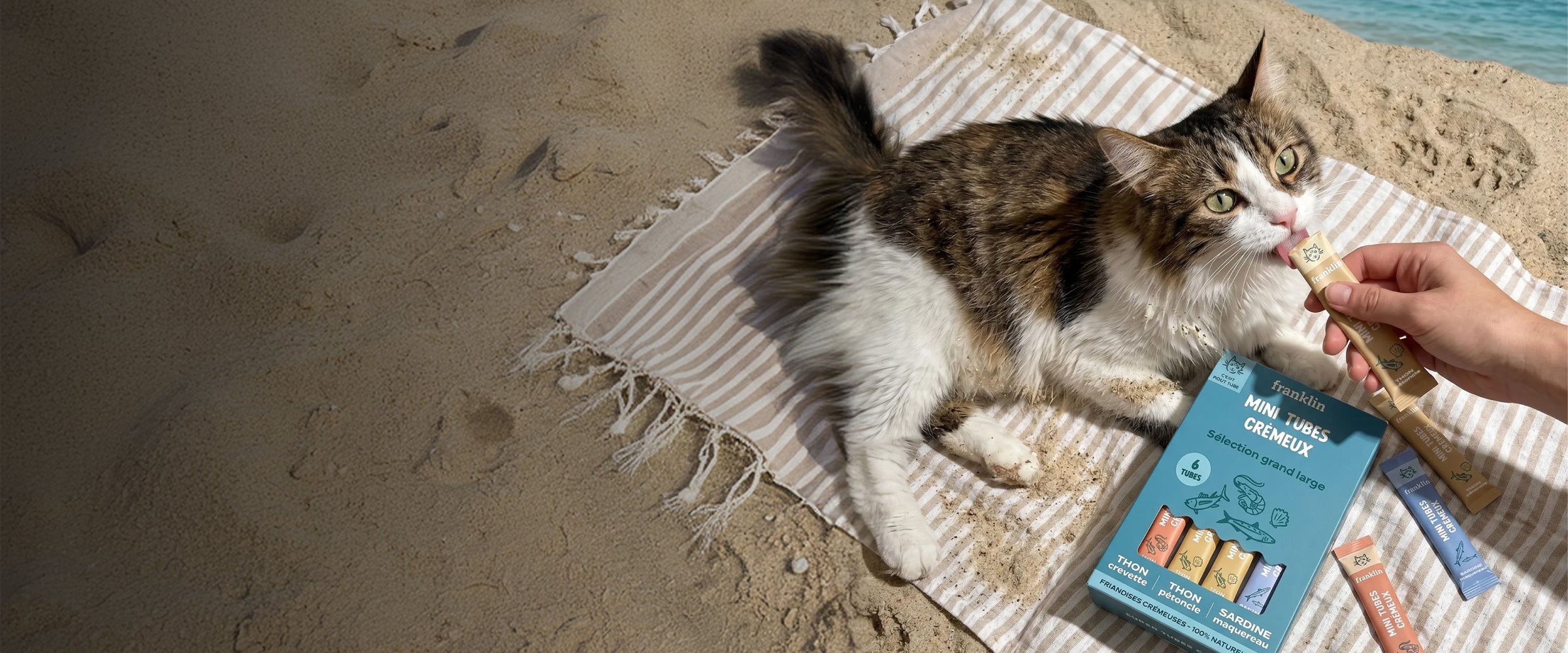 Franklin Alimentation premium pour chien et chat. Choisissez la meilleure nourriture pour votre animal : Croquettes sans céréales riches en protéines et faibles en glucides. Découvrez notre large gamme de pâtées et de friandises riches en viande !