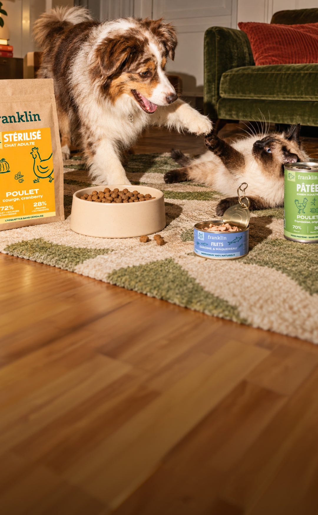 Franklin Alimentation premium pour chien et chat. Choisissez la meilleure nourriture pour votre animal : Croquettes sans céréales riches en protéines et faibles en glucides. Découvrez notre large gamme de pâtées et de friandises riches en viande !
