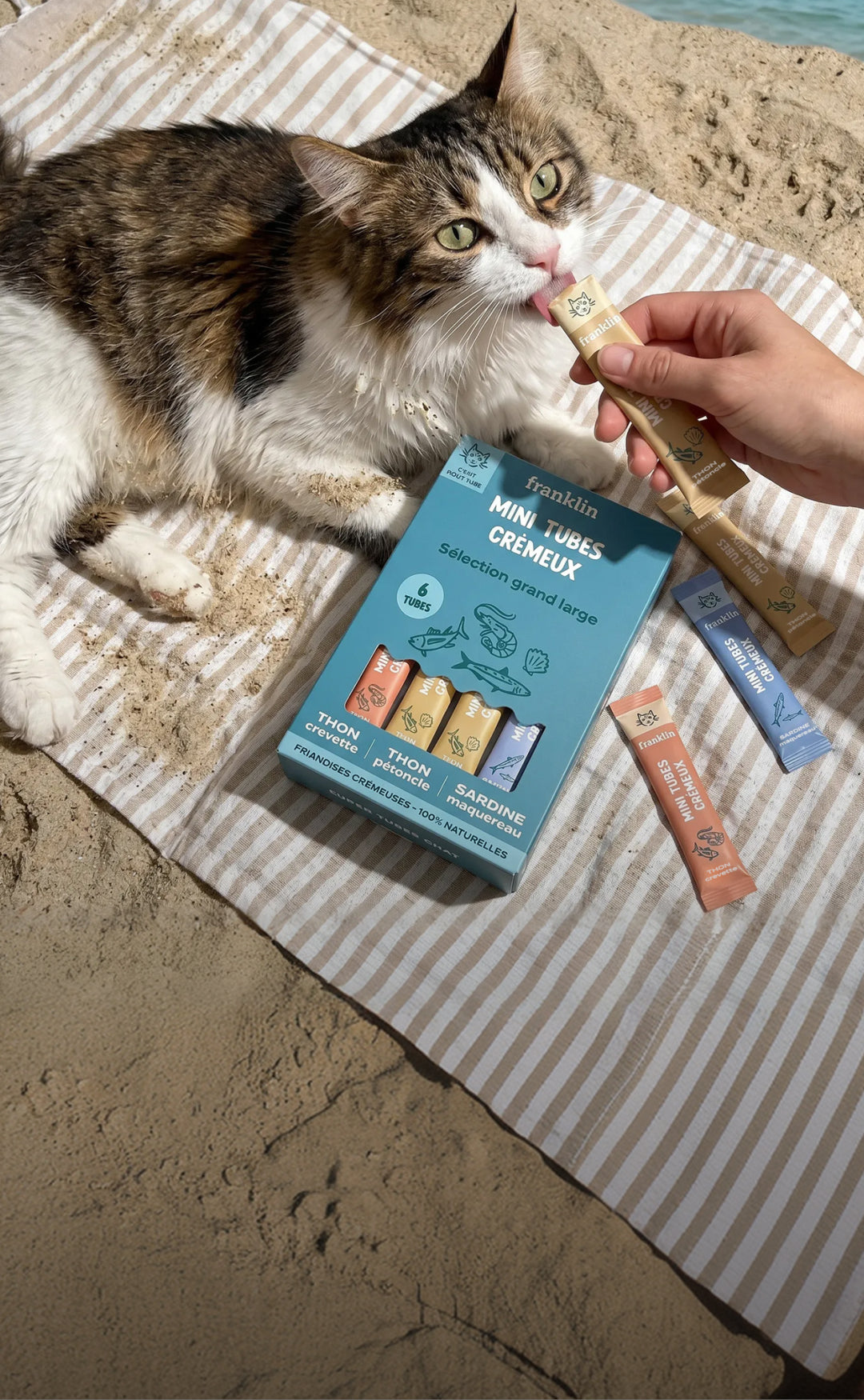 Franklin Alimentation premium pour chien et chat. Choisissez la meilleure nourriture pour votre animal : Croquettes sans céréales riches en protéines et faibles en glucides. Découvrez notre large gamme de pâtées et de friandises riches en viande !