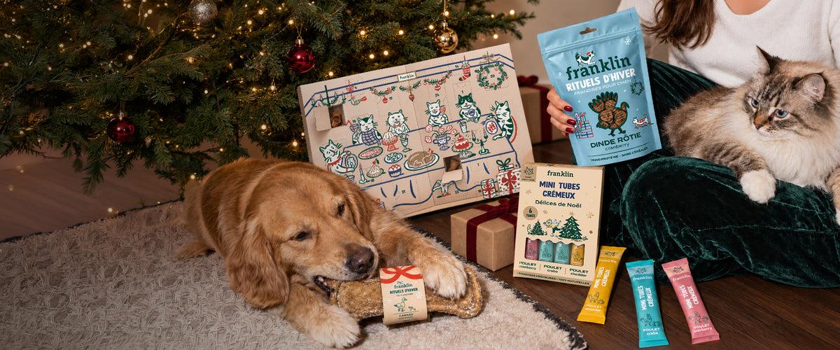 Franklin Alimentation premium pour chien et chat. Choisissez la meilleure nourriture pour votre animal : Croquettes sans céréales riches en protéines et faibles en glucides. Découvrez notre large gamme de pâtées et de friandises riches en viande !