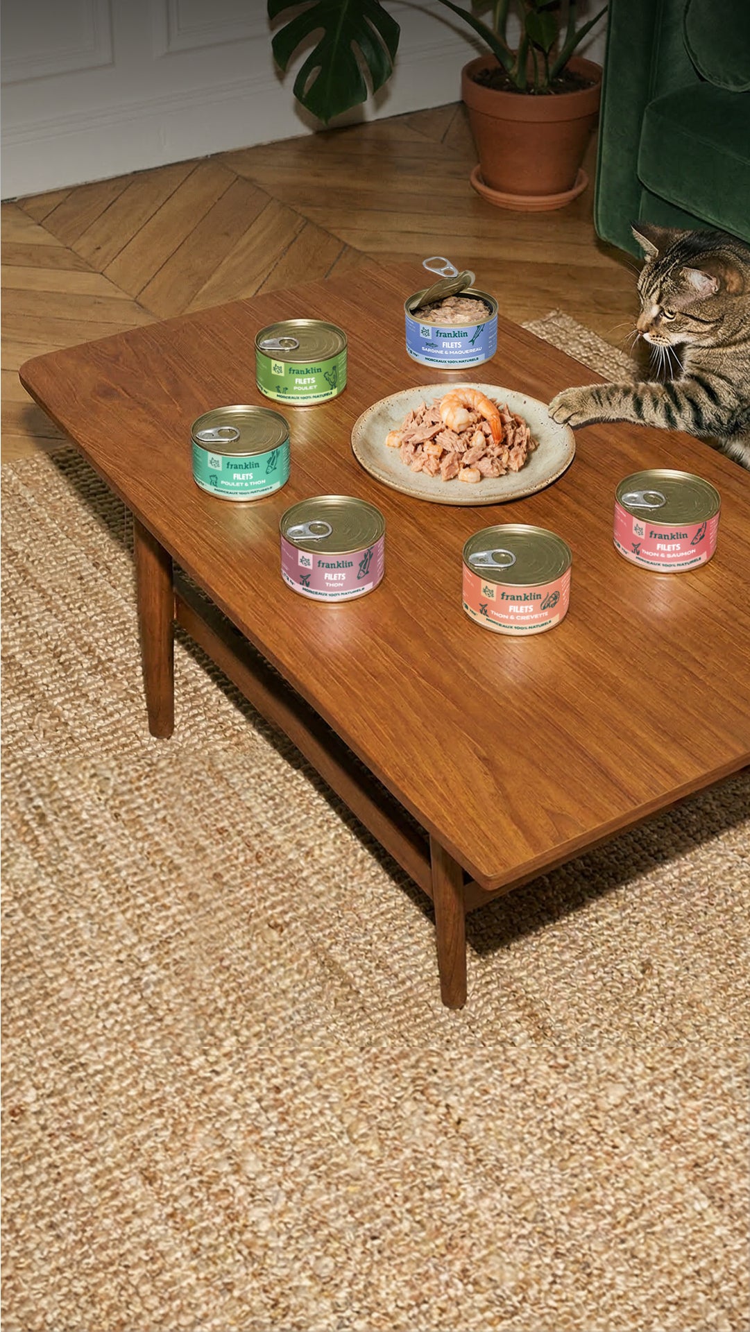 Franklin Alimentation premium pour chien et chat. Choisissez la meilleure nourriture pour votre animal : Croquettes sans céréales riches en protéines et faibles en glucides. Découvrez notre large gamme de pâtées et de friandises riches en viande !