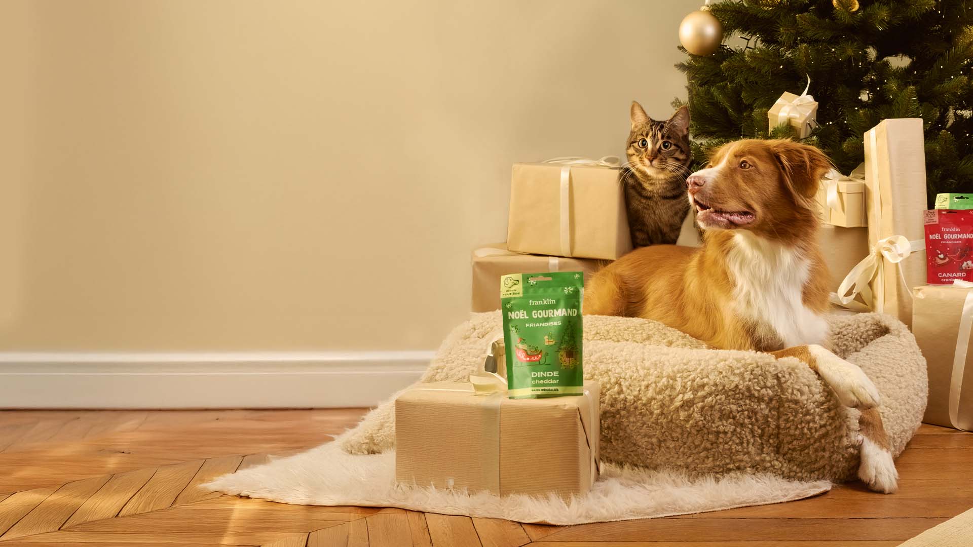 Franklin Alimentation premium pour chien et chat. Choisissez la meilleure nourriture pour votre animal : Croquettes sans céréales riches en protéines et faibles en glucides. Découvrez notre large gamme de pâtées et de friandises riches en viande !