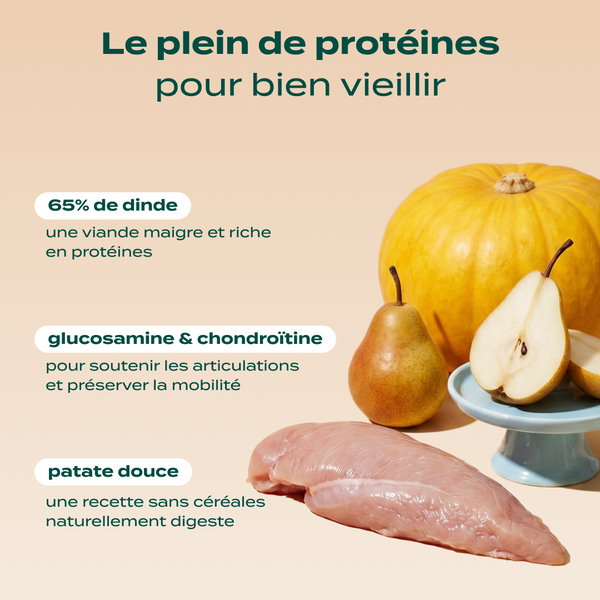 dinde-courge-poire