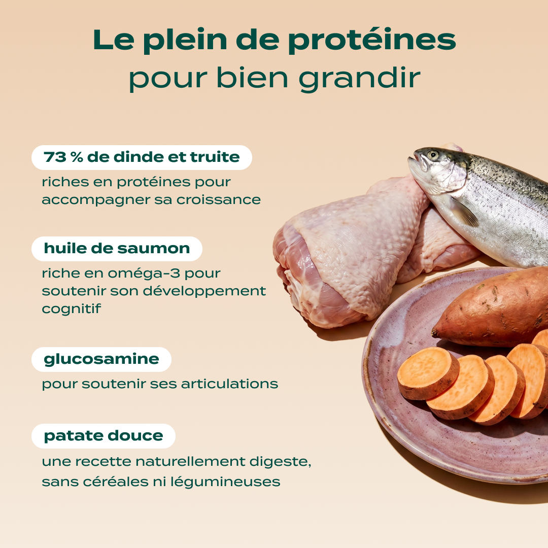DINDE, TRUITE, PATATE DOUCE