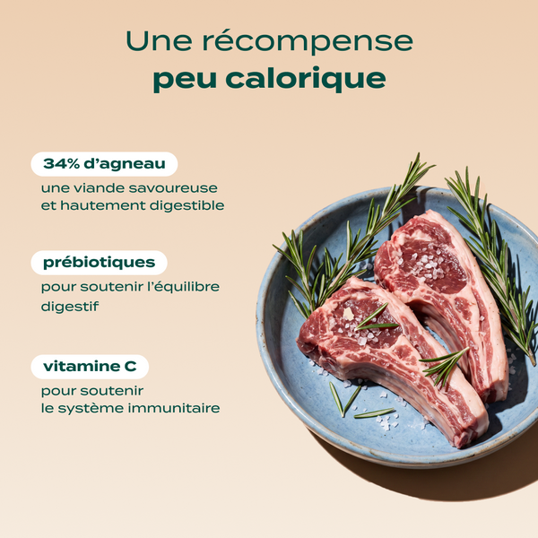 dressage-agneau