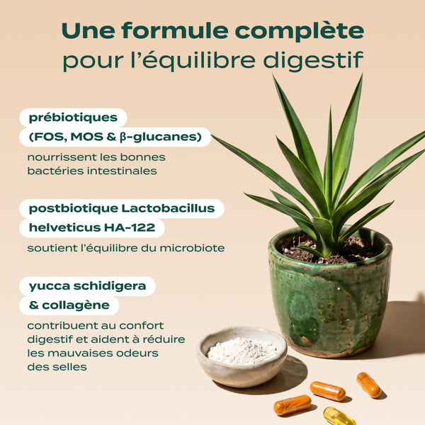 gummies-probiotiques
