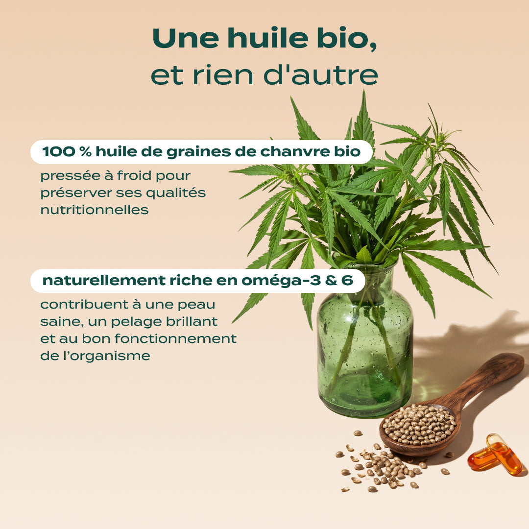 HUILE DE CHANVRE BIO