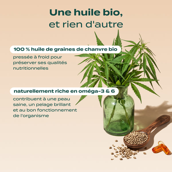 huile-de-chanvre-bio