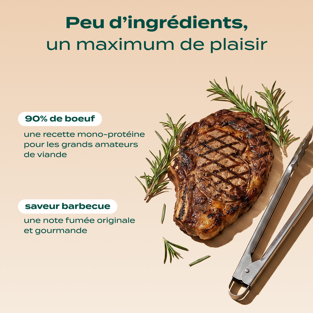 BOEUF SÉCHÉ BARBECUE