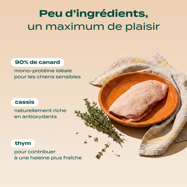 canard-seche
